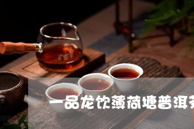 一品龙饮薄荷塘普洱茶/2023061557592