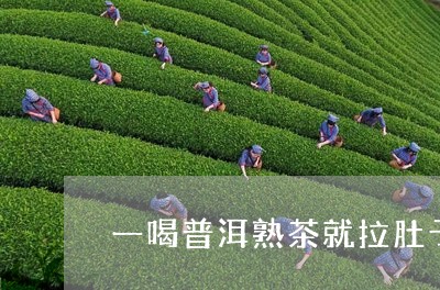 一喝普洱熟茶就拉肚子/2023061382946