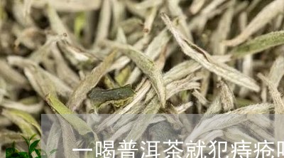 一喝普洱茶就犯痔疮吗/2023112592925