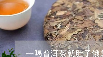 一喝普洱茶就肚子饿怎么办/2023082842027