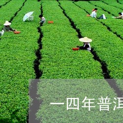 一四年普洱茶值多少钱一斤/2023051164725