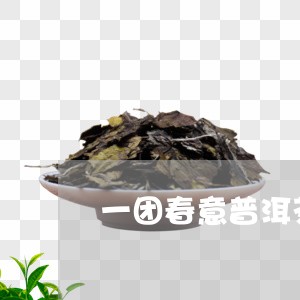 一团春意普洱茶价格/2023112717158