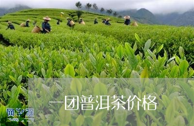 一团普洱茶价格/2023101610595