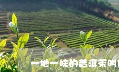 一地一味的普洱茶叫什么/2023081448260