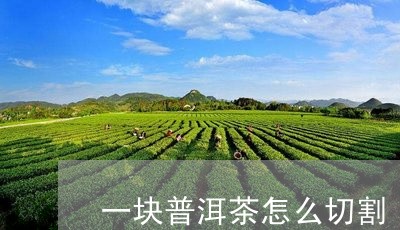 一块普洱茶怎么切割/2023081649575