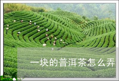 一块的普洱茶怎么弄/2023091593717