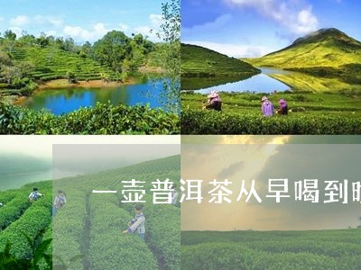 一壶普洱茶从早喝到晚/2023061641704