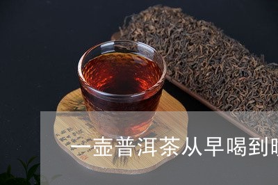 一壶普洱茶从早喝到晚/2023072251927