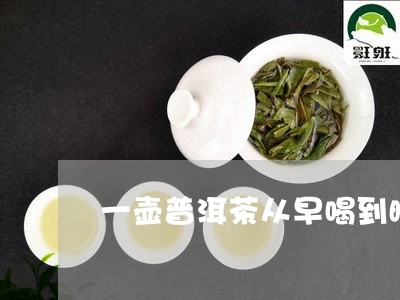 一壶普洱茶从早喝到晚/2023092784161