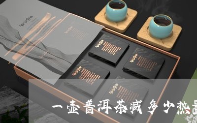 一壶普洱茶减多少热量/2023092810827