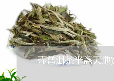 一壶普洱茶半盏天地宽/2023092695938