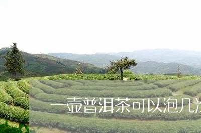 一壶普洱茶可以泡几次/2023093050592