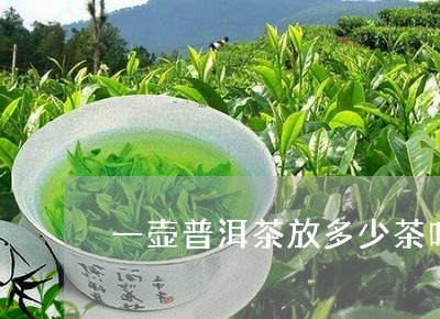 一壶普洱茶放多少茶叶/2023061987160