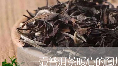 一壶普洱茶暖心的图片/2023072124937