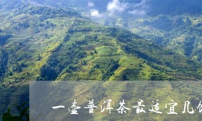 一壶普洱茶最适宜几饮/2023061591715