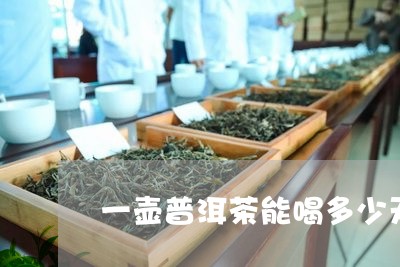 一壶普洱茶能喝多少天/2023072107192