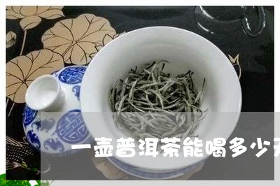 一壶普洱茶能喝多少天/2023092632825