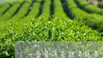 一壶普洱茶能消耗多少卡路里/2023052709472