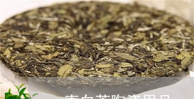 一壶白茶陶瓷用品/2023061586948