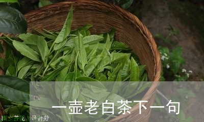 一壶老白茶下一句/2023061581616