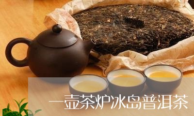 一壶茶炉冰岛普洱茶/2023101762606