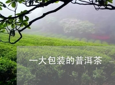 一大包装的普洱茶/2023120469394