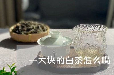 一大块的白茶怎么喝/2023121525152