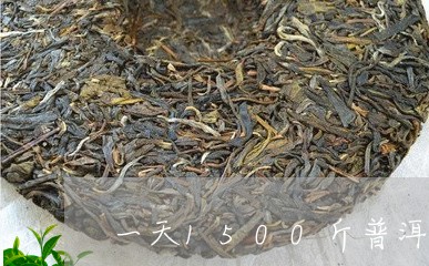 一天1500斤普洱茶/2023073076061