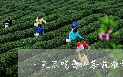 一天不喝普洱茶就难受/2023072257047