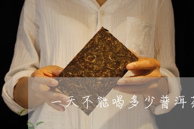 一天不能喝多少普洱茶/2023061658483