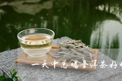 一天中总喝普洱茶好吗/2023072110726