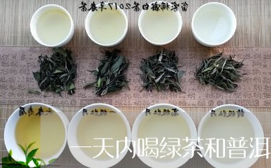 一天内喝绿茶和普洱茶/2023092631614