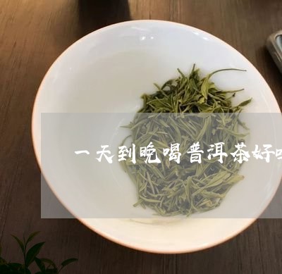 一天到晚喝普洱茶好吗/2023092650693