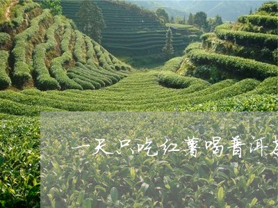 一天只吃红薯喝普洱茶/2023061515948