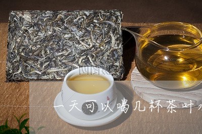 一天可以喝几杯茶叶水/2023092347503