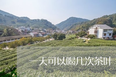 一天可以喝几次茶叶/2023042565838