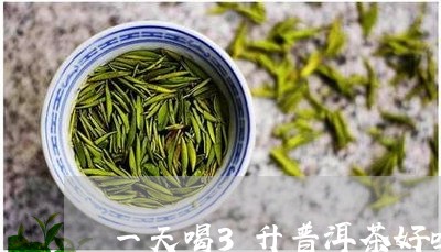 一天喝3升普洱茶好吗/2023092661693