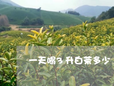 一天喝3升白茶多少/2023071353068