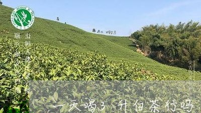 一天喝3升白茶行吗/2023121392937