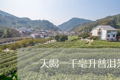 一天喝一千毫升普洱茶/2023092672916