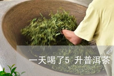 一天喝了5升普洱茶/2023120519474