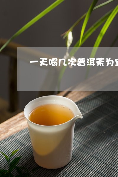 一天喝几次普洱茶为宜/2023072273037