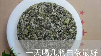 一天喝几瓶白茶最好/2023071495048