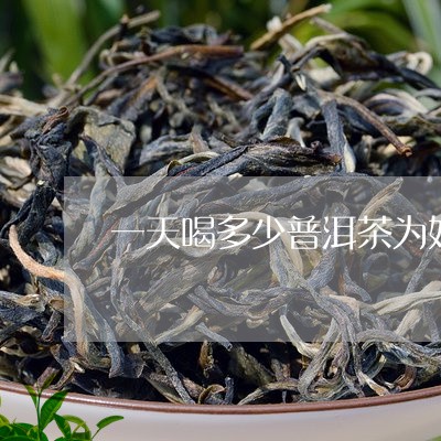 一天喝多少普洱茶为好/2023072125049