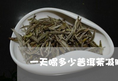 一天喝多少普洱茶减肥/2023092962604