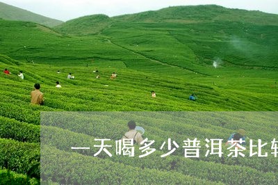 一天喝多少普洱茶比较好喝/2023082805157