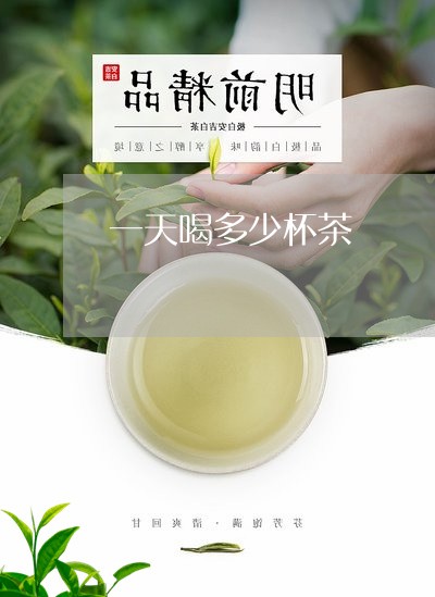 一天喝多少杯茶/2023042986783