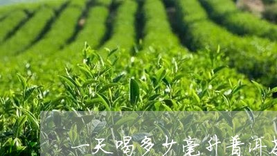 一天喝多少毫升普洱茶/2023072267058