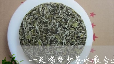 一天喝多少茶水最合适/2023071482696