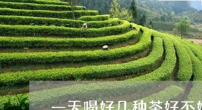 一天喝好几种茶好不好/2023060863816